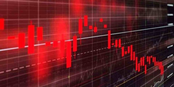 sher marketing today live chart